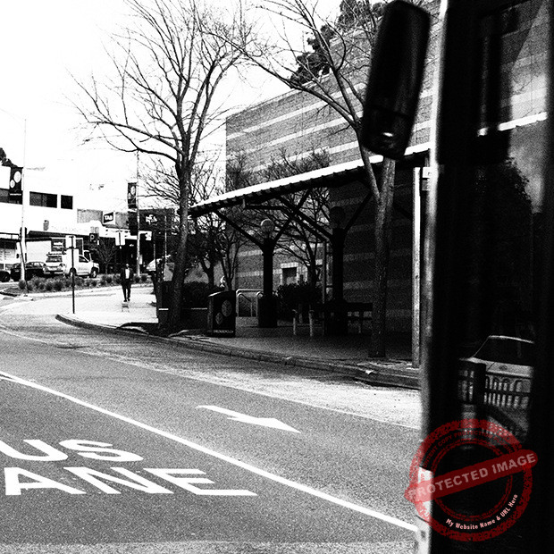 Silent Revolution 'Do I Belong Here'